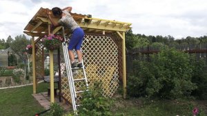 6 соток 12 июня 2024 года Хроника