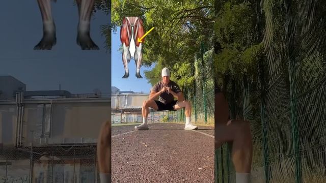 Классические приседание .На что влияет постановка ног ?⬆️Так ли это в действительности ?Делитесь➡️ смотреть онлайн