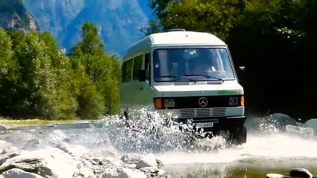 Mercedes Benz 309 D ???