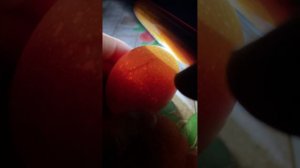 Как понять, что цыплëнок в яйце живой? Как выглядит здоровый эмбрион. Овоскопирование.