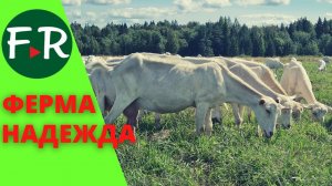 Пионеры козоводства в России. Козья ферма Надежда. Возвращение ФЕРМЕР.RU через 10 лет.