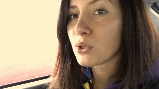 Переезд с котом на поезде из Самары в Сочи 2017г