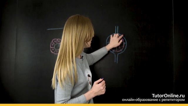 Биология | Железы внутренней, внешней и смешанной секреции смотреть онлайн