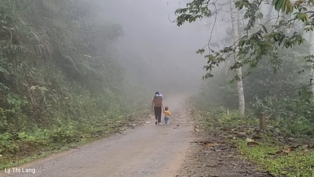 Harvest Sugarcane Garden & Shallot Vegetables - Goes to the market to sell | Ly Thi Lang смотреть онлайн