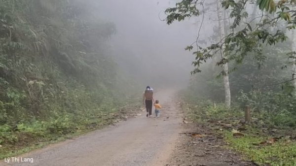 Harvest Sugarcane Garden & Shallot Vegetables - Goes to the market to sell | Ly Thi Lang