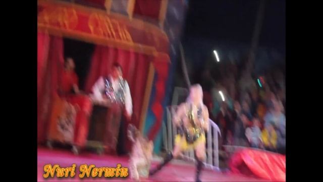 Цирк "Шапито" 2015г смотреть онлайн