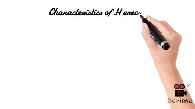 Main stages of evolution of man part 2 / Java man смотреть онлайн