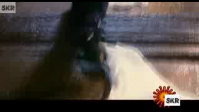 Wet song 63 смотреть онлайн