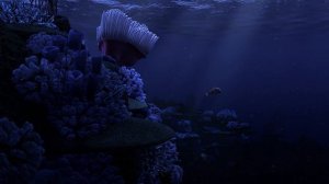 Finding Nemo - "Nemo Egg" scene (in Beautiful HD)