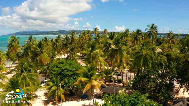 Sway to Relaxation with Palm Trees! Relaxing Moments - Series смотреть онлайн