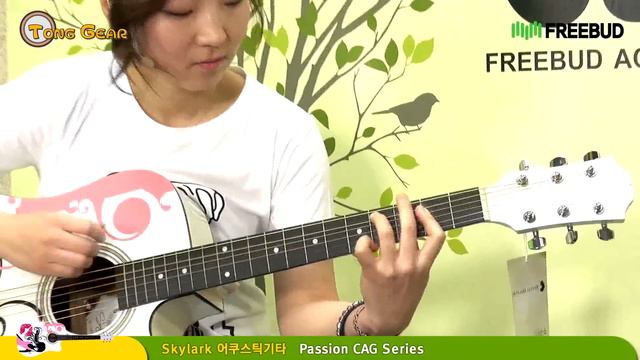 [프리버드]189회 통기어 Skylark 어쿠스틱기타 Passion CAG Series смотреть онлайн