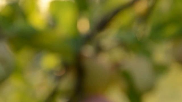 Природа как есть смотреть онлайн