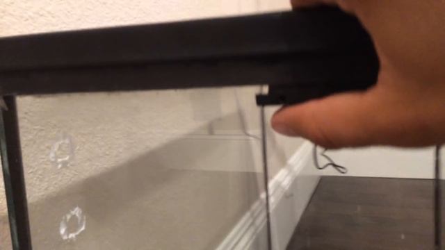Reptile Screen Cover Security Clips смотреть онлайн