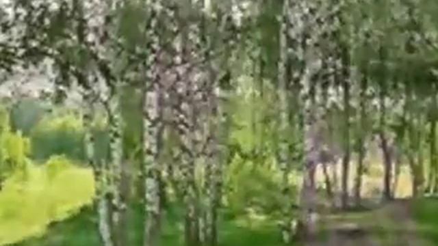 ГАЛИНА ШЕВЕЛЁВА Я МАХА.avi смотреть онлайн