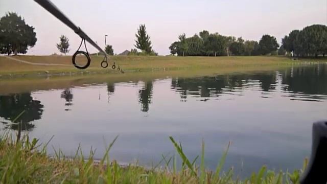 Grass Carp Fishing - White Amur - My biggest to date смотреть онлайн