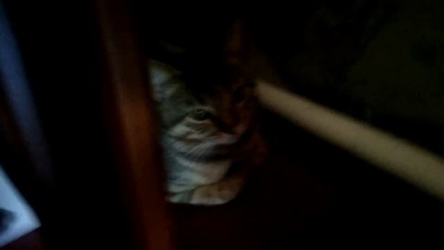 VLOG: ЖАРКО,КУПАЕМСЯ В БАССЕЙНЕ/ДОМАШНИЙ ВЛОГ/КАРАНТИН/ИГРАЕМ В АВТОМАТЕ С ИГРУШКАМИ смотреть онлайн