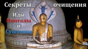 Секреты очищения Иды, Пингалы и Сушумны