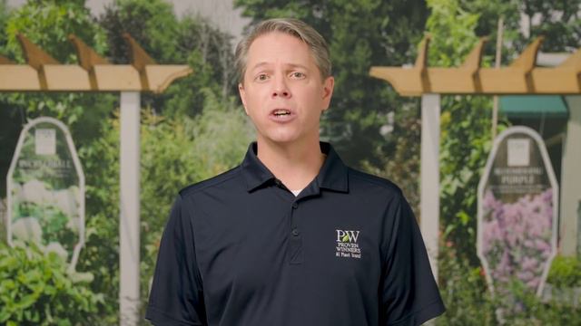 Proven Winners New Annuals and Perennials for 2022