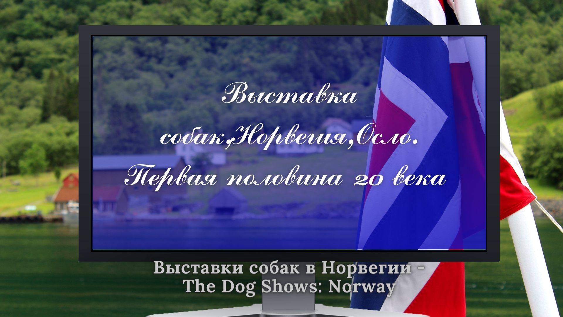 Выставка собак, Норвегия, Осло. Первая половина 20 века