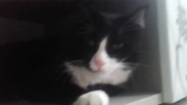 Это наш дом 😀 смотреть онлайн