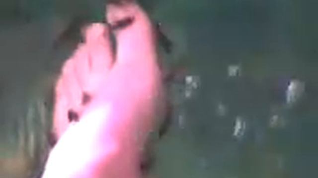 Garra Rufa Fishes / Рыбки Garra Rufa