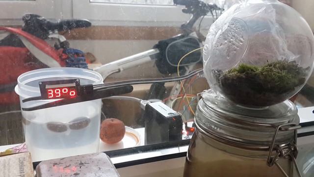 Arduino clock / weather station смотреть онлайн