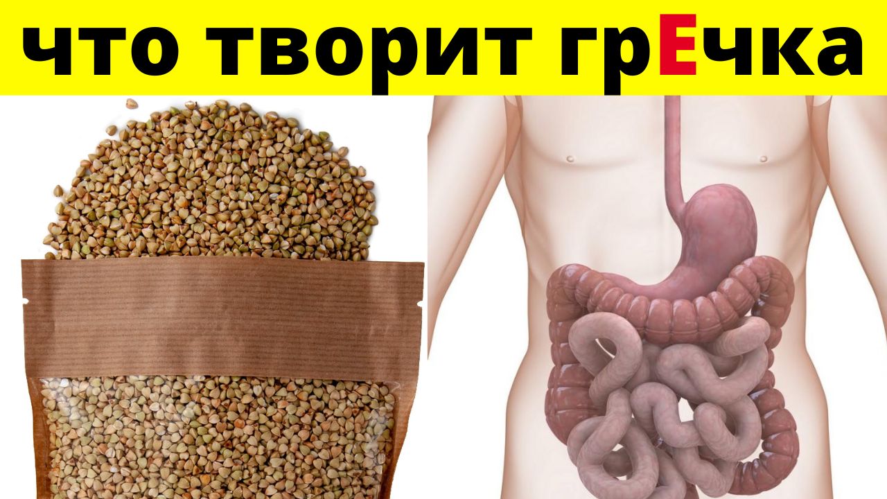 Старый Врач: гречка может вызвать Необратимые процессы. Что творит гречка с организмом. смотреть онлайн