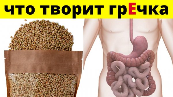 Старый Врач: гречка может вызвать Необратимые процессы. Что творит гречка с организмом.