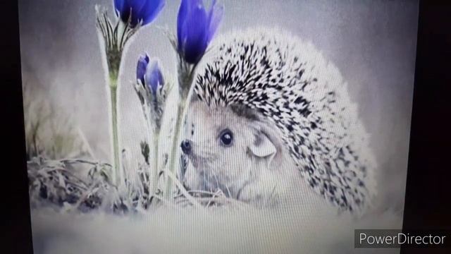 Видеоурок для 2 кл.