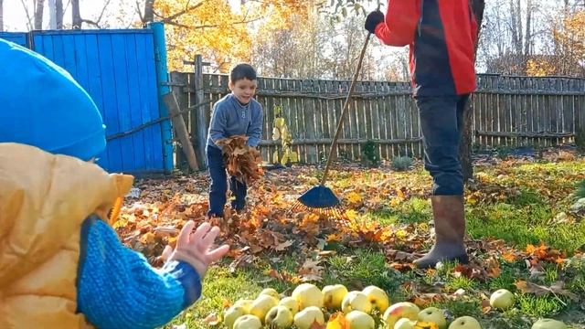 Дом в деревне. Как храним свои яблоки на зиму. Один осенний день из жизни в деревне! смотреть онлайн