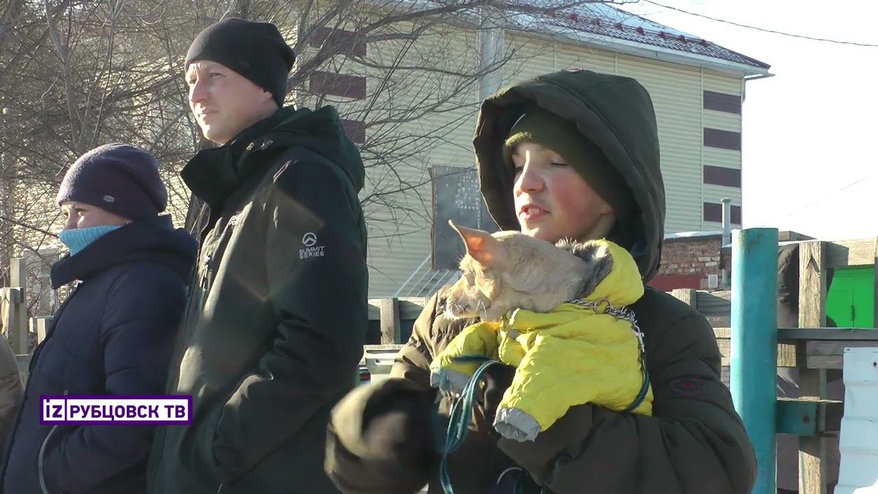 Лидер-Дог смотреть онлайн