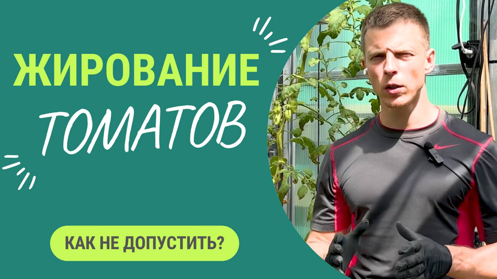Если сделать так ваши томаты 🍅 никогда не зажируют смотреть онлайн