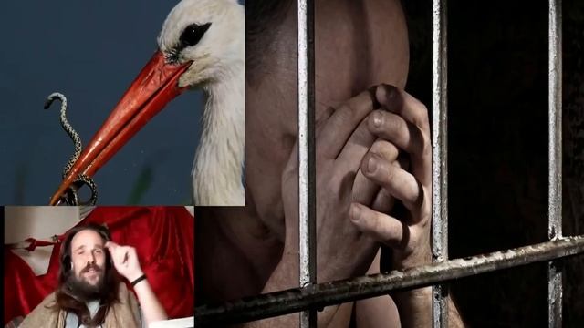 ВАЖНОСТЬ УТРЕНЕЙ МОЛИТВЫ (Откровение Лев ) смотреть онлайн