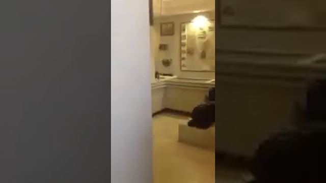 Музей телефона смотреть онлайн