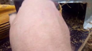 Дробилка для ботвы и веток из шлифмашинки своими руками