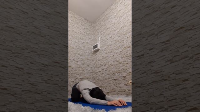 Научиться отжиматься легко смотреть онлайн