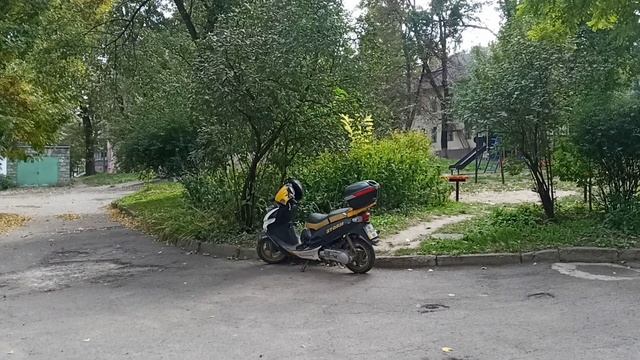 Кошке понравился мой скутер смотреть онлайн
