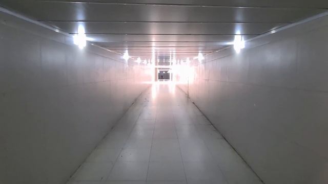 ? Дорога в Крым. Автопутешествие на 10000км. Путешествие на Машине с КОТОМ из СЕВЕРА на ЮГ. Серия 1 смотреть онлайн