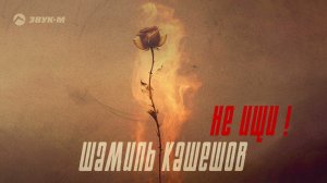 Шамиль Кашешов - Не ищи | Премьера трека 2024