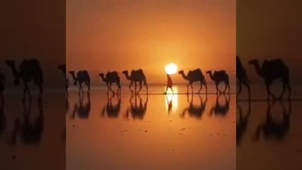 Песня-Караван Карахан