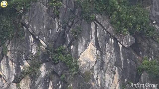 freelancelifestyle ru Vietnam 27 1 Bai Tu Long Bay смотреть онлайн