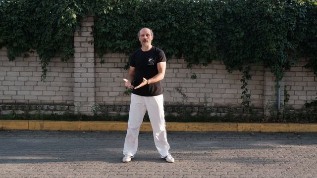 Qigong 5 Animals Wu Qin Xi Цигун 5 зверей форма Тигра