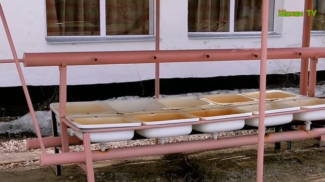 Пионерский лагерь 