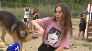 Как приручить собаку?