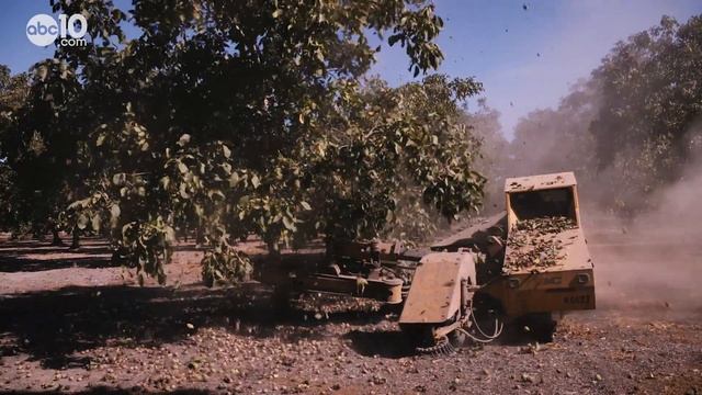 That's a lot of nuts | Bartell's Backroads смотреть онлайн