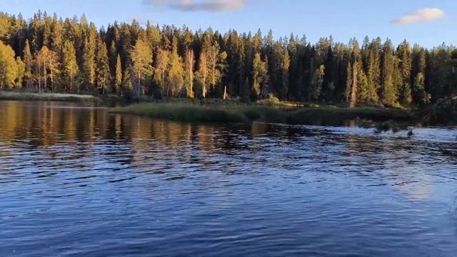 Карелия. Начало сентября 2021 года. Просто "кайфовая быстрая вода". смотреть онлайн