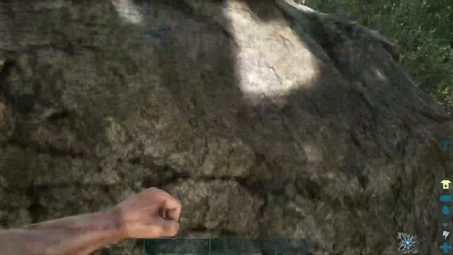 ARK Survival Evolved Xbox Series S Геймплей 60 fps смотреть онлайн