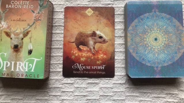 The Spirit Animal Oracle 40/68 Mouse Spirit guide book audio description смотреть онлайн