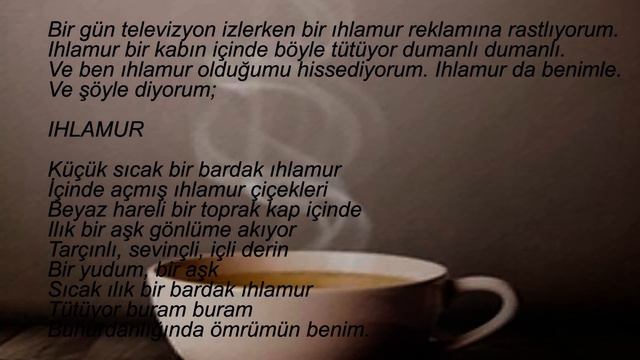 Rengin SAKAOĞLU - Küçük sıcak bir bardak ıhlamur смотреть онлайн