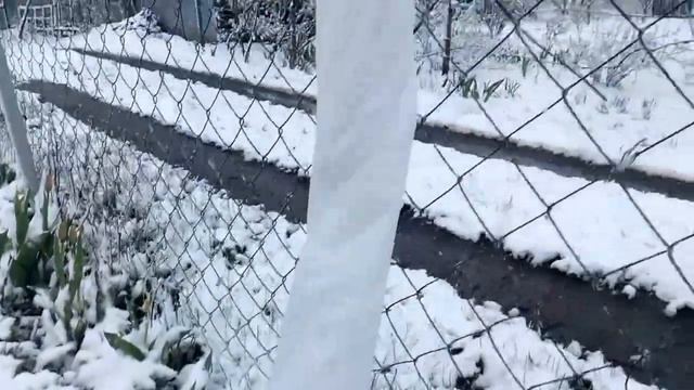 Апрельский снегопад, борьба за урожай началась (18.04.17) смотреть онлайн